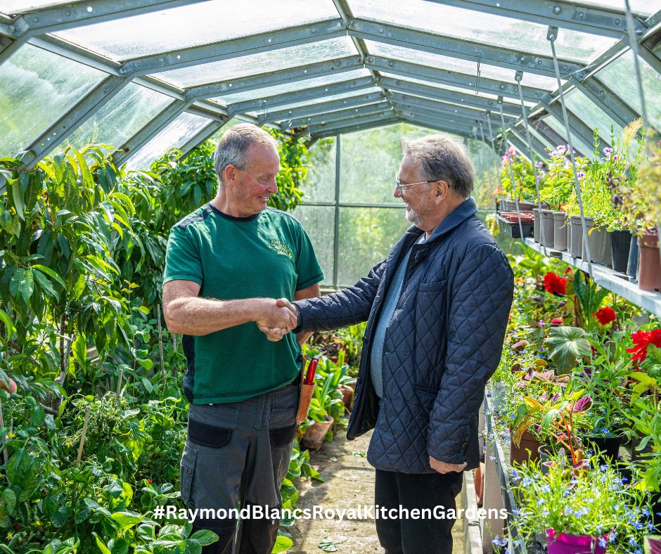 Episode 7 of my latest series #RaymondBlancsRoyalKitchenGardens continues this #Sunday at 1130 on @ITV, where we return to @thecastleofmey. Don't miss it!🍃🍂 @media_oyster