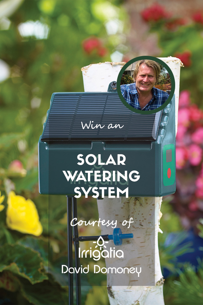 #ad

Enter my free prize draw for the chance, to win an @Irrigatia Solar Watering System that makes watering plants easier than ever before.

👉  bit.ly/3vMontZ

Closes 30/04/24 at 11:59 PM
UK Residents Only
T&C's Apply

#PaidPartnership #WinItWednesday #FreebieFriday