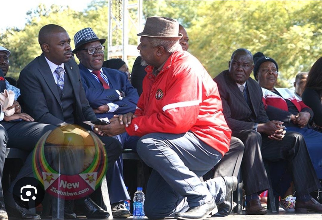 Former CCC Harare Central Mp Murisi Zwizwai one of the newly nominated Senators, following the recalls