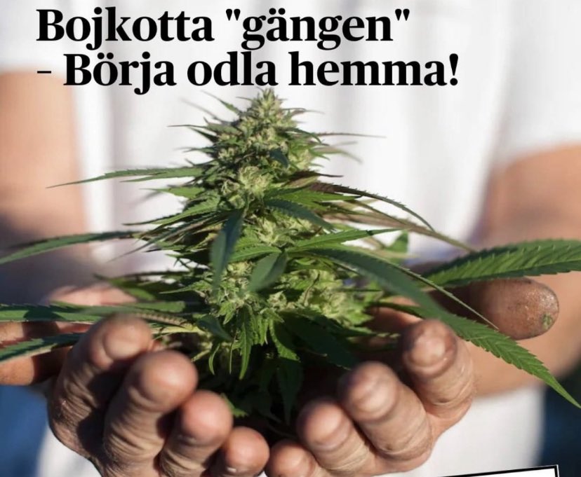 Detta är rimligt, men tyvärr skjuter politikerna samhället i benet, genom att ha hårdare straff för odling av cannabis för eget bruk, än att köpa från gängen… 
#svpol