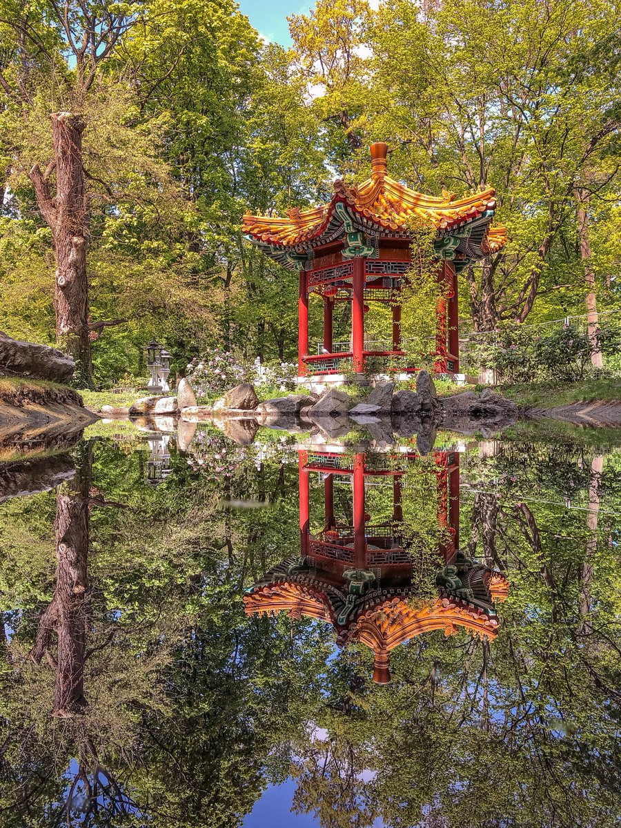 🌺 Spring is in full swing and Łazienki Park is blooming. 

Get lost in Warsaw's largest park, spanning 76 hectares of lush greenery and manicured gardens. Keep an eye out for strutting peacocks! 

#ExplorePoland #VisitPoland