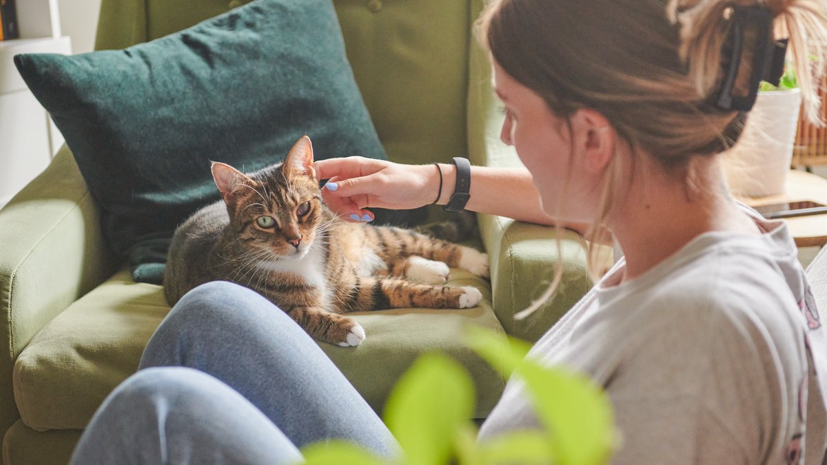 New research has found the total monetary benefits to landlords of letting to tenants with pets exceed the associated costs. Read the new report and find out more about our #PetFriendlyProperties campaign here: bit.ly/3xpkAQC