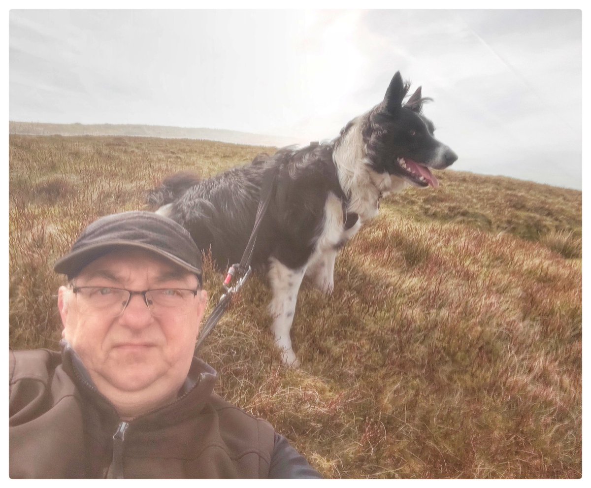 Wanderings above Talybont Res. Tor y Foel #getoutside #breconbeacons #explorelocal #discoverlocal #BannauBrycheiniog #BorderCollie #dogsoftwitter @DerekTheWeather @OrdnanceSurvey @ExploreBreconB @BeaconsPhotos