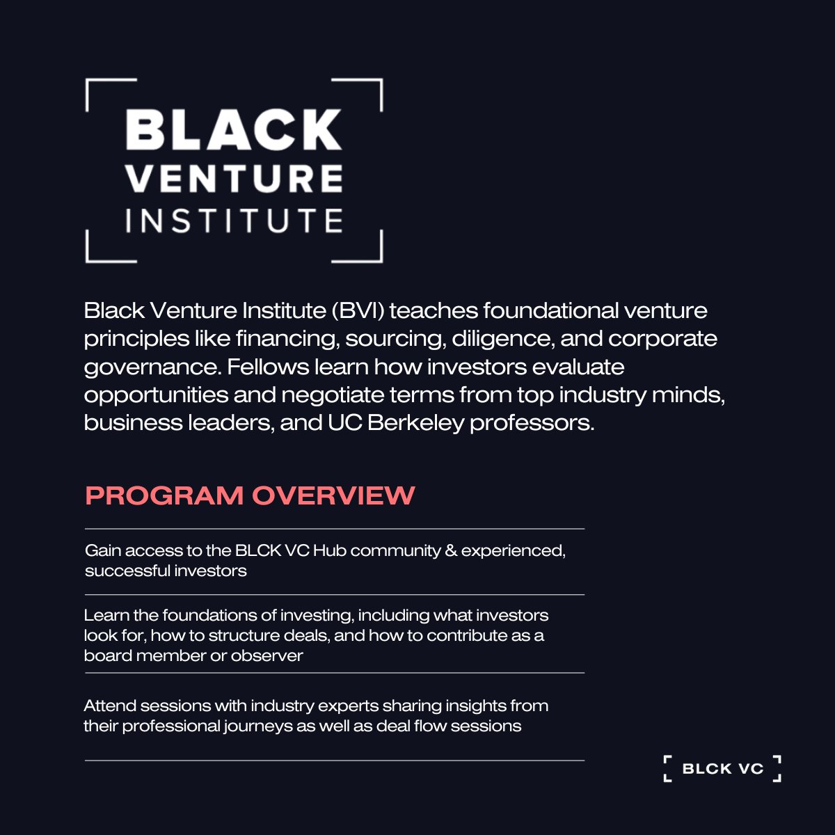 An overview of our highly esteemed, one-of-a-kind Black Venture Institute 😏