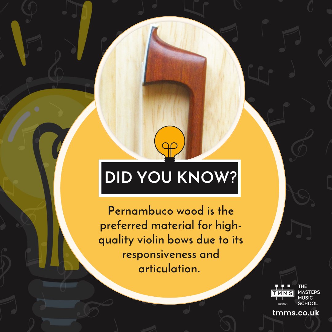 Did you know? 💡 Pernambuco wood is the top choice for crafting high-quality violin bows. #didyouknow #violin #TMMS #TheMastersMusicSchool #tmmslondon Click the link to read the full post! bit.ly/3UbjcNN…d-20th-centuries/