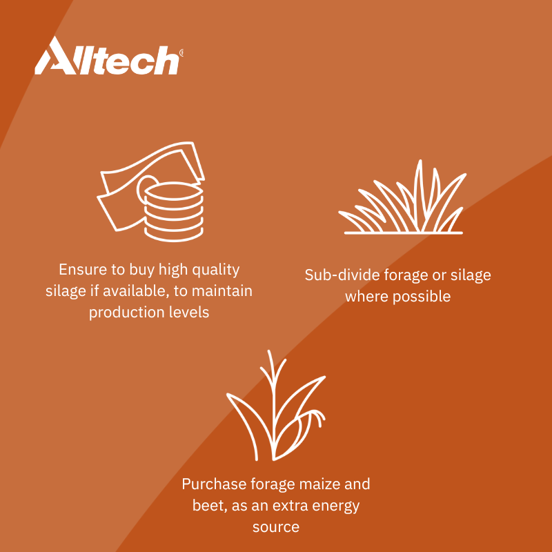 Struggling to manage the current feed shortage?⁉️

Cathal Bohane, Technical Development & Services Manager, outlines 6 key ways to manage your resources during this difficult period🌾

For more, contact InTouch📞059 910 1320