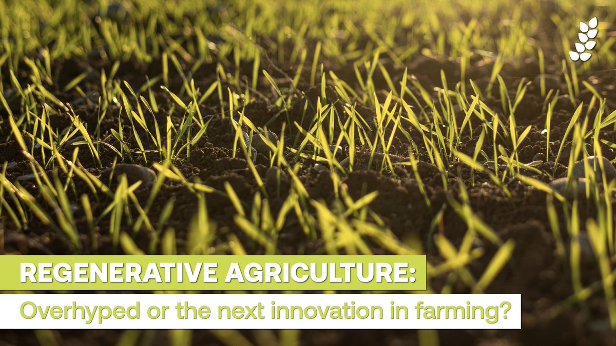 COCERAL_EU's tweet image. What is #RegenerativeAgriculture? We're taking a look this month.

It's a broad concept meant to keep #soil viable, fertile and healthy - now and into the future.

Many techniques have been used for centuries, with more attention recently as sustainable practices.

#WeeklyCOCERAL