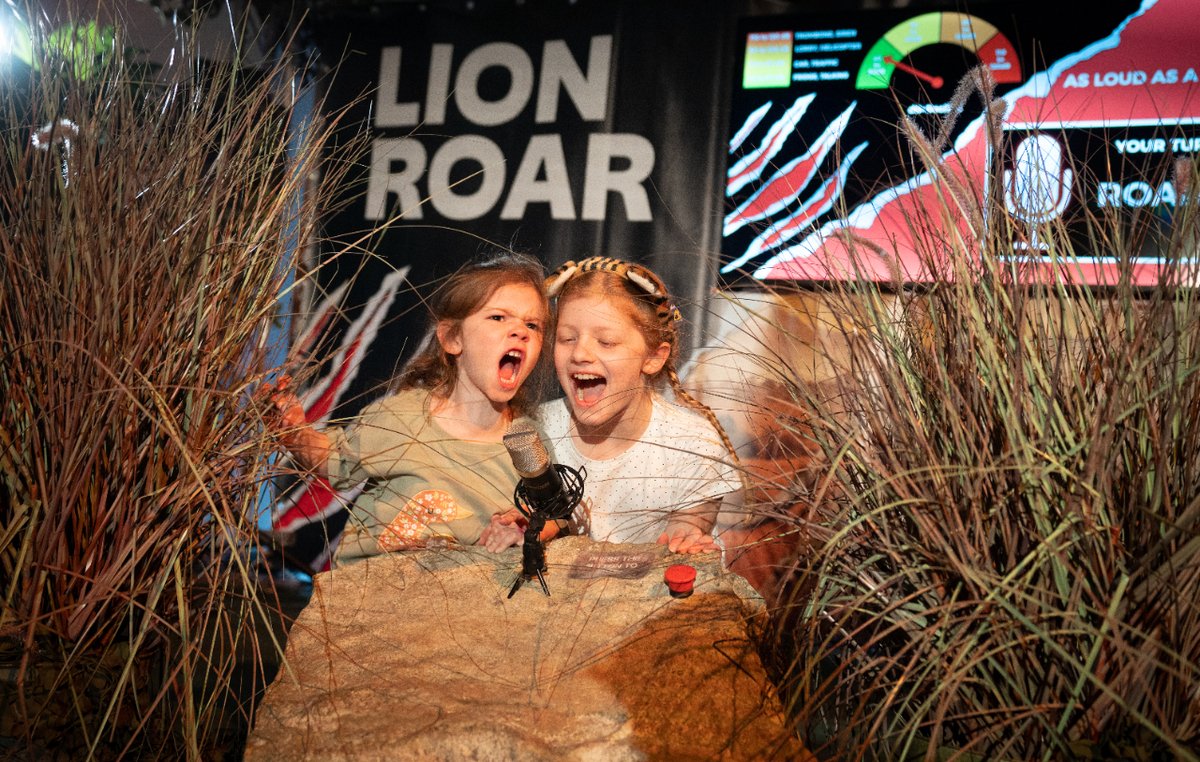 Did you know that lions have the loudest roars of all big cats? Just one weekend left to see if you can roar as loud as a lion and challenge your skills against more of our mighty carnivores with our all-weather Easter event, Predators: longleat.co.uk/predators