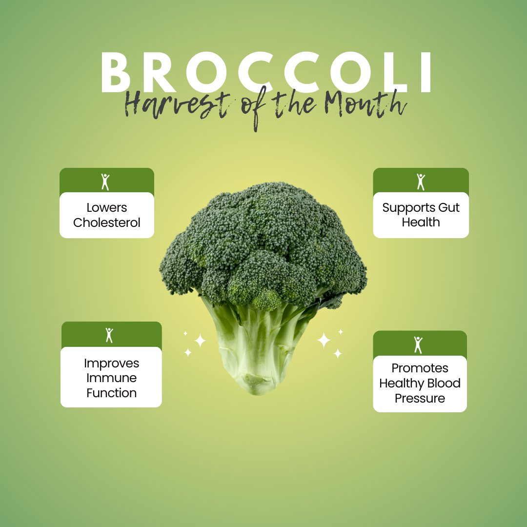 🥦#DYK 1 single cup of broccoli contains twice the amount of Vitamin C than an orange? This helps boost your immune system and promotes collagen production, wound healing, and iron absorption.