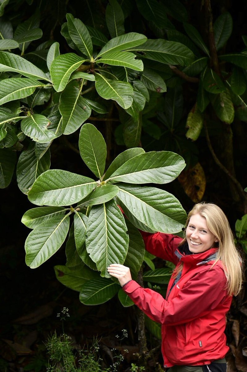 Since her experience in our International Trainee Program in 2016, Kirsty Wilson has designed gardens for His Majesty King Charles III, presented on BBC, and published a book! Read about her amazing career journey 👉 bit.ly/4cSuEoE