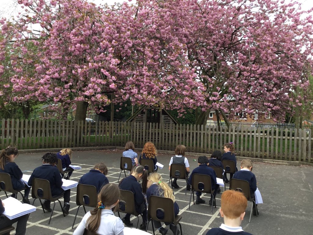 Observational drawing of the signs of Spring in Year Two Silver Birch. 🌸🌸🌸🎨🎨🎨