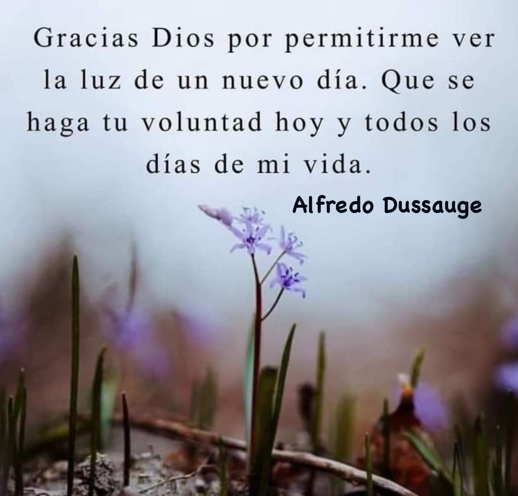 “Gracias Dios por permitirme ver la luz de un nuevo día. Que se haga tu voluntad hoy y todos los días de mi vida.” #TeQuiero #Dios #FelizViernes