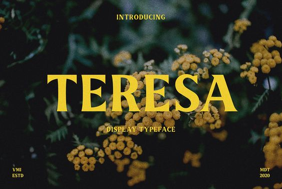 pietrobaudin's tweet photo. Free Fonts ( Antispring Edition V.3 )    

⬇️Download Here