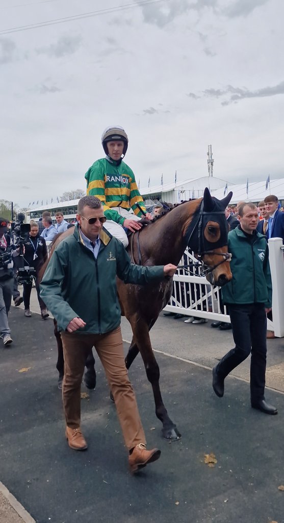 💚💛 MYSTICAL POWER wins the Grade 1 Novice Hurdle under Mark Walsh. Galileo x Annie Power what a story. 😍