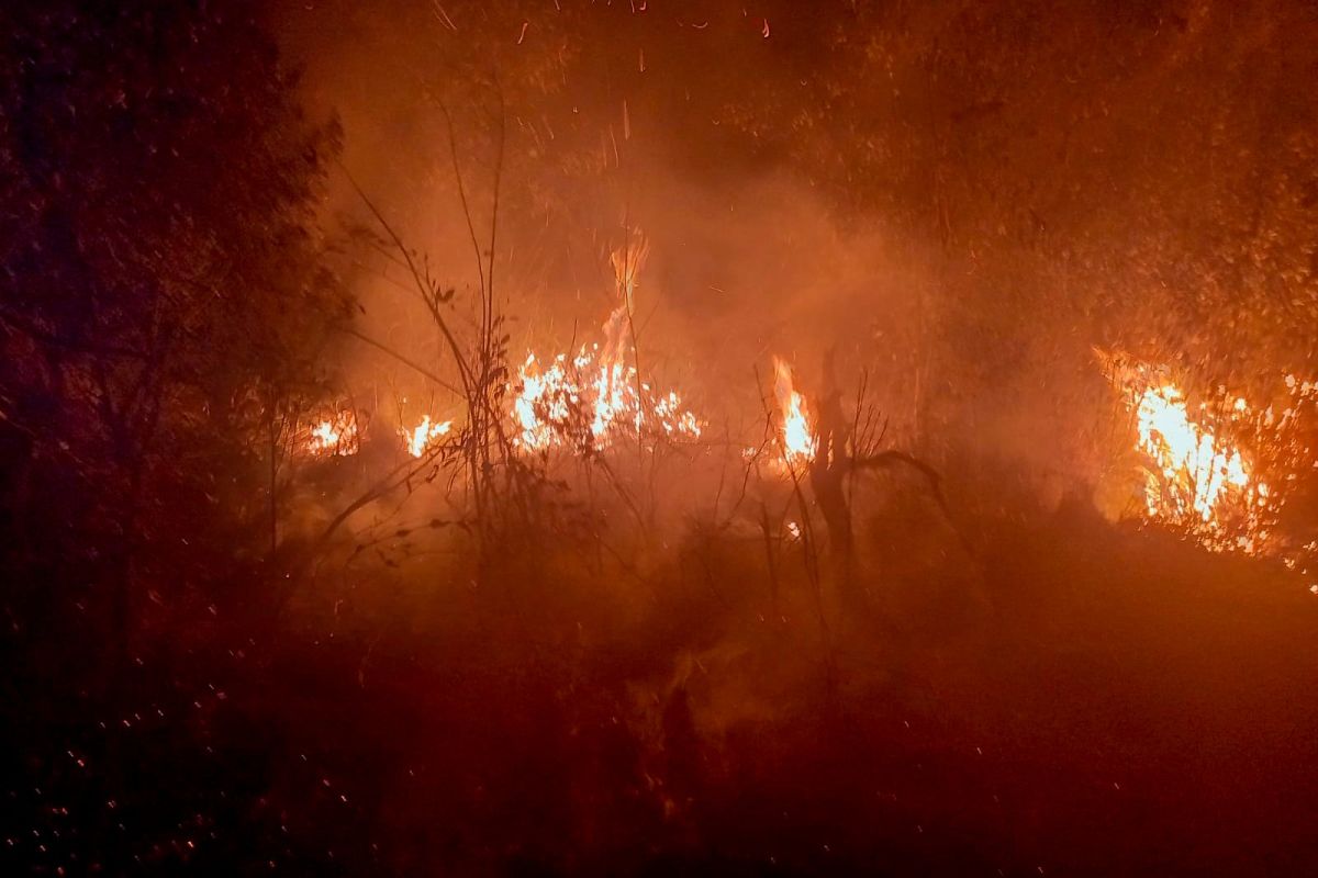 Pessoal, o IAT faz um alerta! O clima seco do outono e inverno não combina com velas acesas e bitucas de cigarro. Isso facilita a propagação do fogo, causando danos à biodiversidade e às nossas Unidades de Conservação. Vamos cuidar do nosso Paraná! cbncuritiba.com.br/load-iframe.ht…