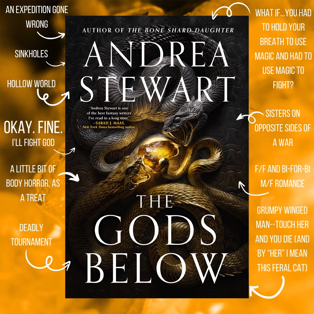 Andrea Stewart *UPDATES ONLY* tweet media