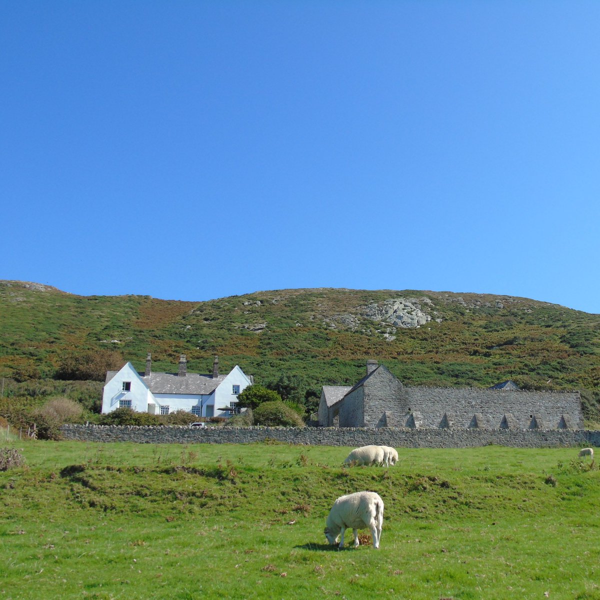 Ffansi aros mewn hostel yn Enlli? Ewch i'r wefan isod i weld y dyddiadau ar gael. 👇
-
Fancy staying in hostel accommodation on Bardsey? . See website below for details. 👇
bbfo.org.uk/stay

#Cristin #BBFO #Enlli #YnysEnlli #Bardsey #BardseyIsland #BirdObservatory #Gwylfa