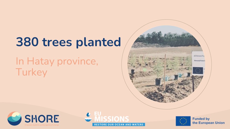 SHORE is planting trees! 🌲🌳 In the Hatay province in #Turkey, a total of 3️⃣ 8️⃣ 0️⃣ trees were planted so far SHORE will continue to plant trees equivalent to the number of trees saved by the #BlueProjects funded by our open call. Happy weekend! 🌊 #MissionOcean