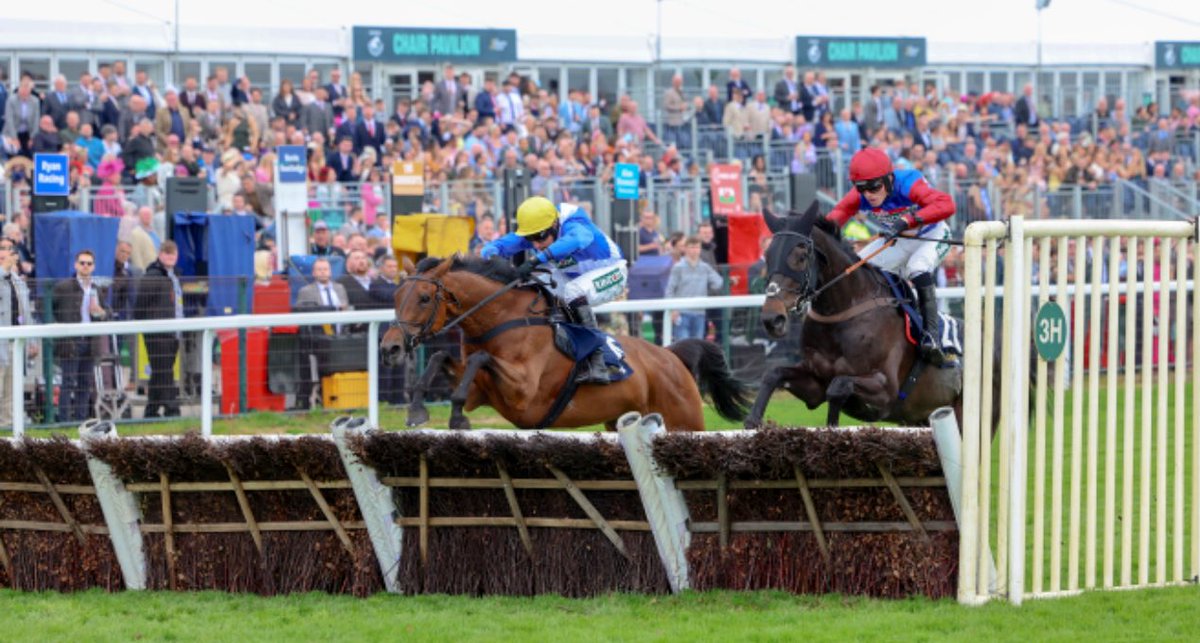 KATEIRA & @harryskelton89 win the @WilliamHill H’Cap Hurdle @AintreeRaces for the @DSkeltonRacing Team. Congrats to all connections & Ellie Harrison & Lucy Turner who look after her & ride her out everyday #FeedYourDesireToWin 🐴🏆🐴