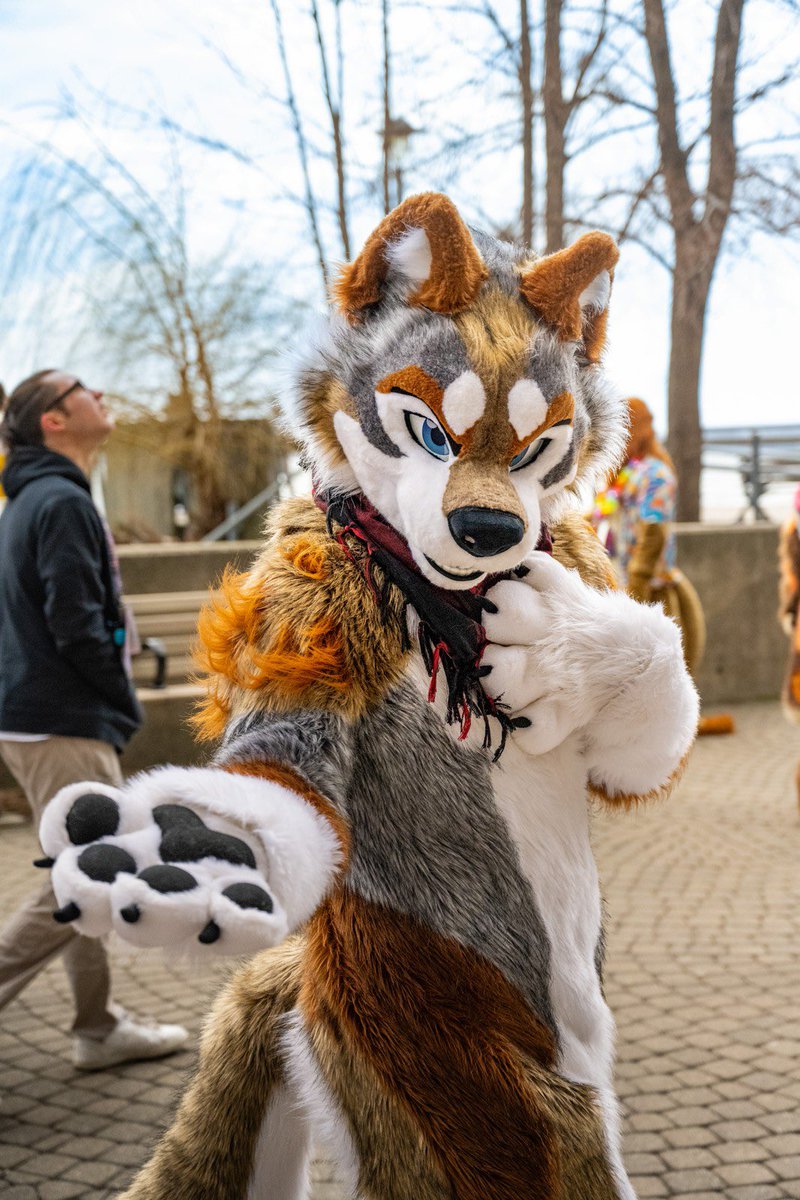 Take my paw if you dare to thrive #FursuitFriday 📸 @ScyllaWolfron