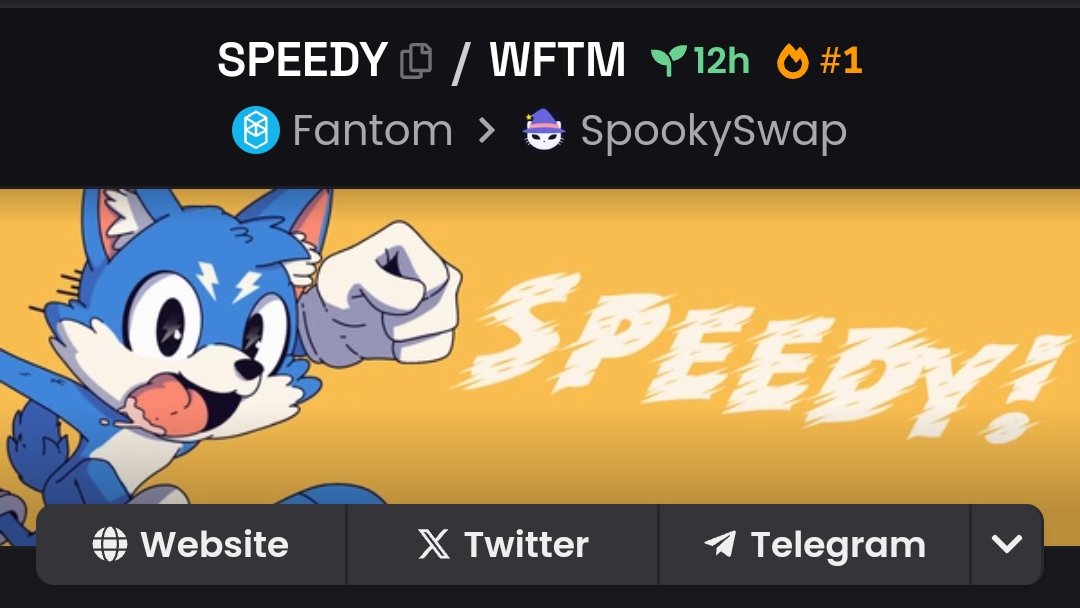 You guessed it right degens, $SPEEDY is going faster than I even thought. If you believe in $FTM and want to have an exposure, $SPEEDY is currently the easiest choice.