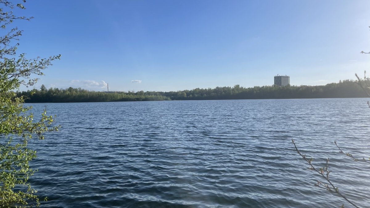 Niels de Bruijn 🌍 tweet media