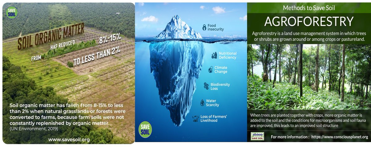 We must shift from wealth as a goal, to sustainaiblity as a goal  driving our decisons. This includes developing replacements for  plastics, adopting regenerative and restorative cultivation and  harvesting methods-PNAS Nexus '24. 
Write a #Letter4Soil: savesoil.org/write