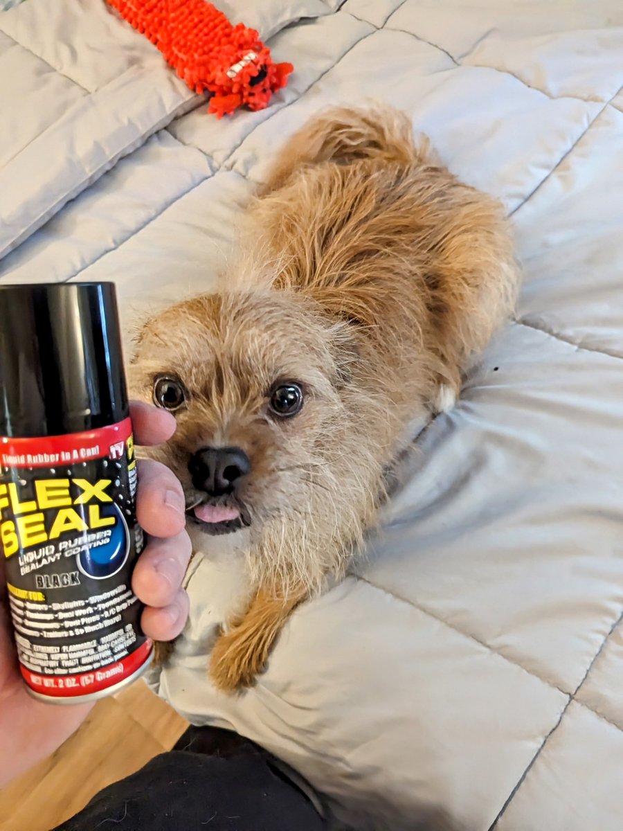 Jack was concerned to hear that one of my flights to AERA was on a Boeing. He made me pack some Flex Seal in case any doors start looking a little loose mid-flight.