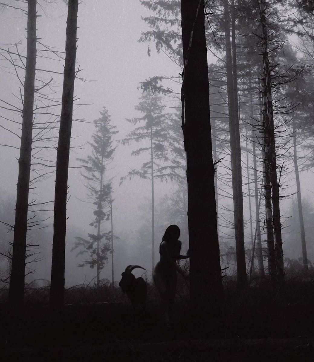 By Nona Limmen