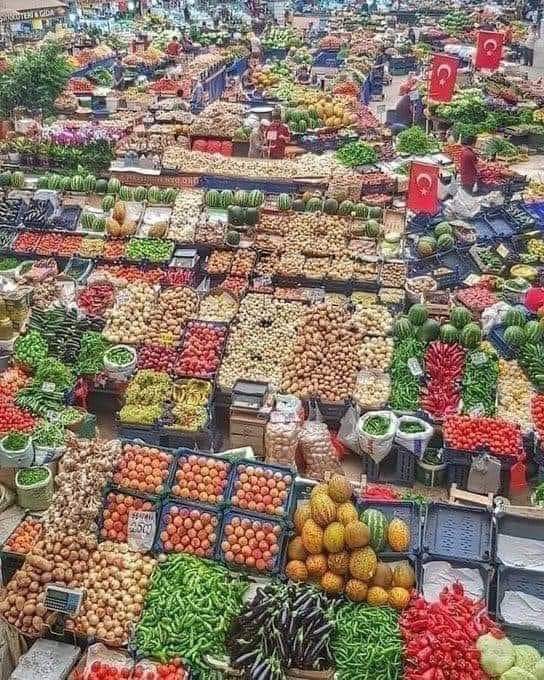 Türkiye'de üretim vardı, bolluk, bereket vardı Annelerimiz kasa kasa domates, salatalık; çuvalla fasulye, patlıcan, biber alırdı 1 tane domates fiyatına 1 kasa domates; yarım kilo fasulye fiyatına çuvalla fasulye alınırdı Salçalar, Konserveler yapılırdı. Yazık ettiler Türkiye'ye.