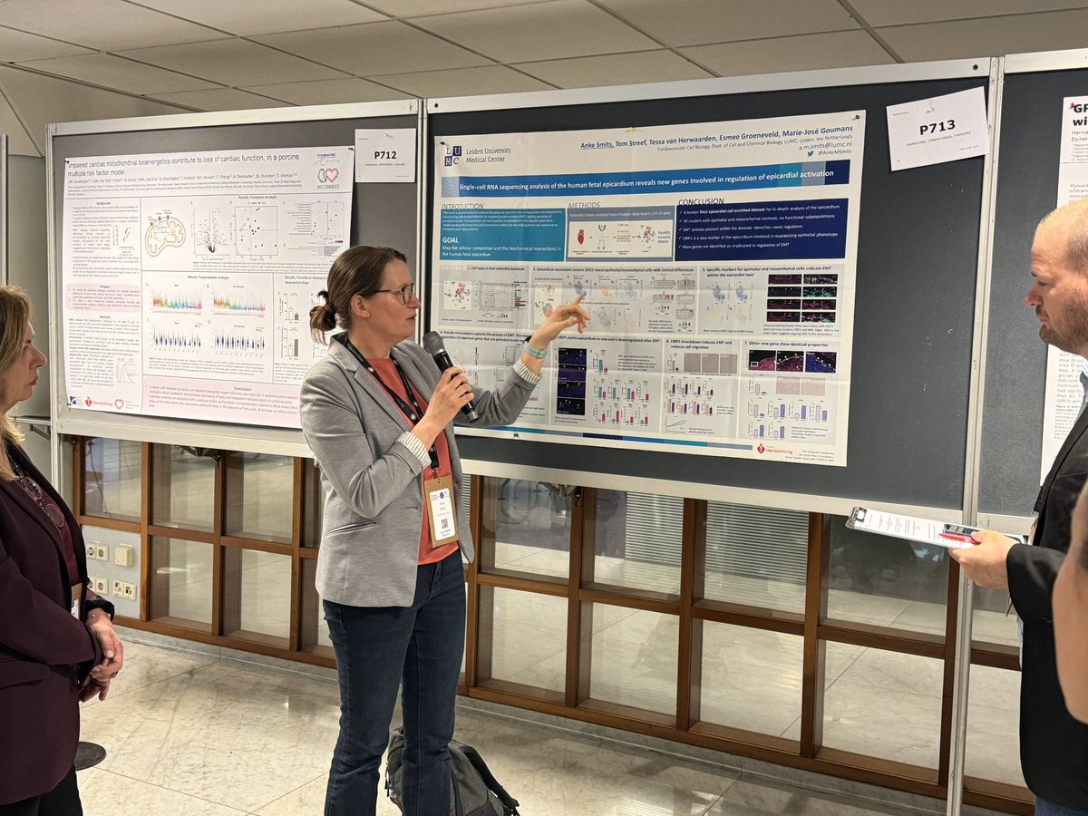 Alessandra Lodrini (@alelodrini) on Twitter photo Highlight from one of this afternoon’s moderated poster sessions, <a href="/AnkeMSmits/">Anke Smits</a> talking about how single-cell RNA sequencing of the human fetal epicardium reveals several new genes involved in regulation of epicardial activation🫀🔍
<a href="/CVCBLeiden/">CVCB Leiden</a> #FCVB2024 #ESCbasicscience <a href="/escardio/">European Society of Cardiology</a> Highlight from one of this afternoon’s moderated poster sessions, <a href="/AnkeMSmits/">Anke Smits</a> talking about how single-cell RNA sequencing of the human fetal epicardium reveals several new genes involved in regulation of epicardial activation🫀🔍
<a href="/CVCBLeiden/">CVCB Leiden</a> #FCVB2024 #ESCbasicscience <a href="/escardio/">European Society of Cardiology</a>