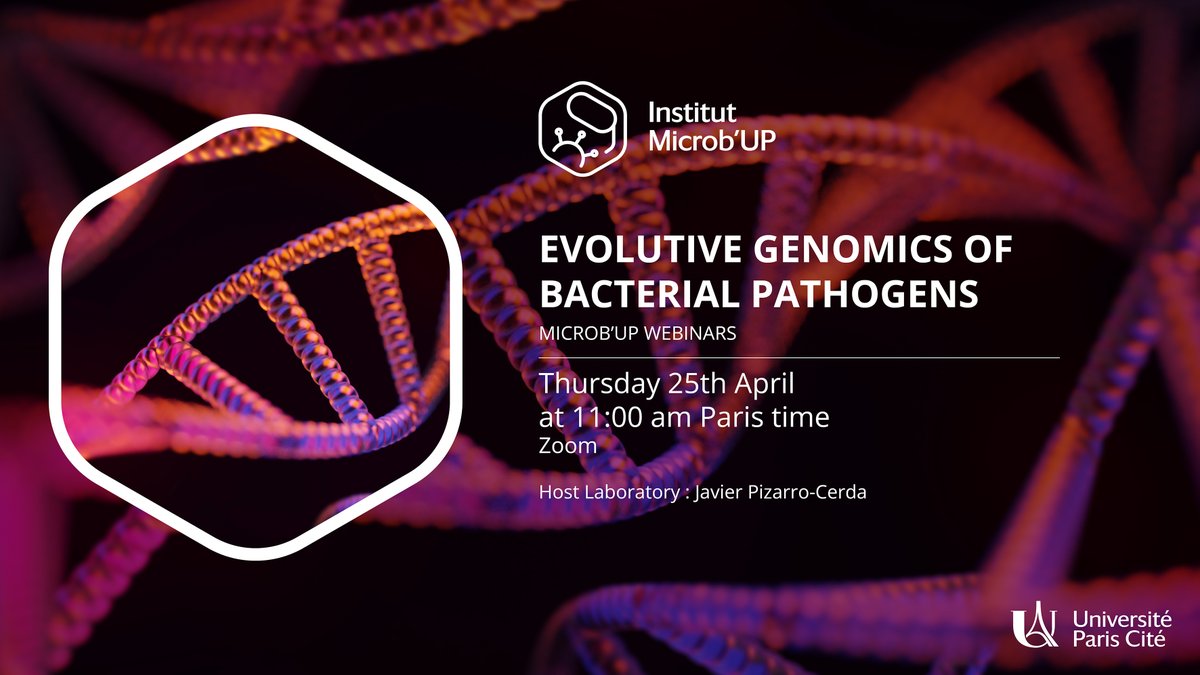 New webinar🥰Thu 25th April at 11:00 (Paris Time) Evolutive genomics of bacterial pathogens 🔬Thierry Wirth @ThierryWirth Evolutionary history and adaptive landscape of the M. tuberculosis Beijing lineage 🔬Alexandra Moura @atrmoura 🔬Cyril Savin Infos: microb-up.u-paris.fr/webinar/