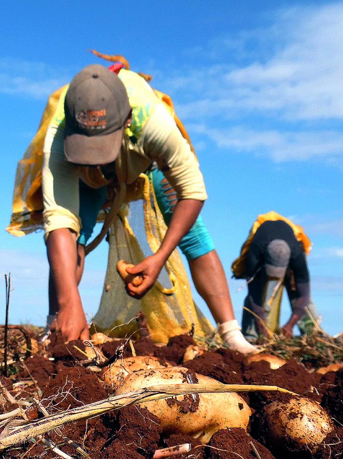 Es un deber pensar #Cuba y no perder de vista los modos en que cada espacio de ella puede funcionar mejor. Por eso la dirección del país visitó, ayer, varios municipios del país, esa #Patria pequeña donde se decide el bienestar de la gente. #EstaEsLaRevolución #UJC