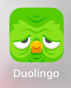 Y’all, I just went to open Duolingo after kinda a while and why does my icon look like this, omg?!😆