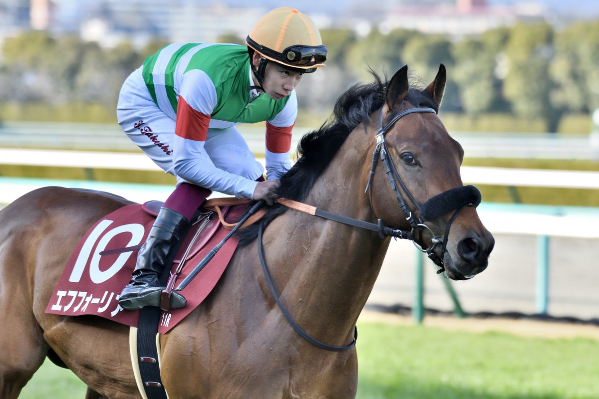 Mozzarella_Uma's tweet image. 京都記念　エフフォーリア
この時、これがラストランになるとは思わなかった
#京都記念2023 
#エフフォーリア 
#横山武史 騎手