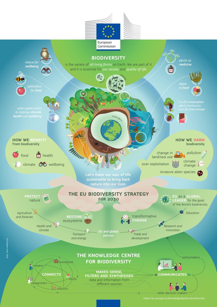 Discover the 🇪🇺's plan for a greener future: Check out their infographic about their biodiversity strategy for 2030!🌱🌍 @EU_Commission