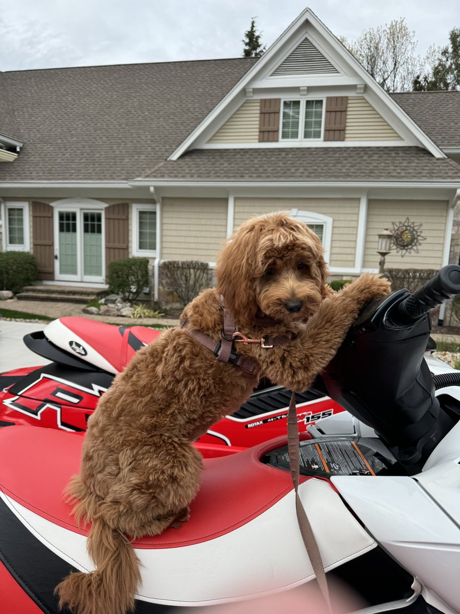 CalStoler's tweet image. Coop on da ski