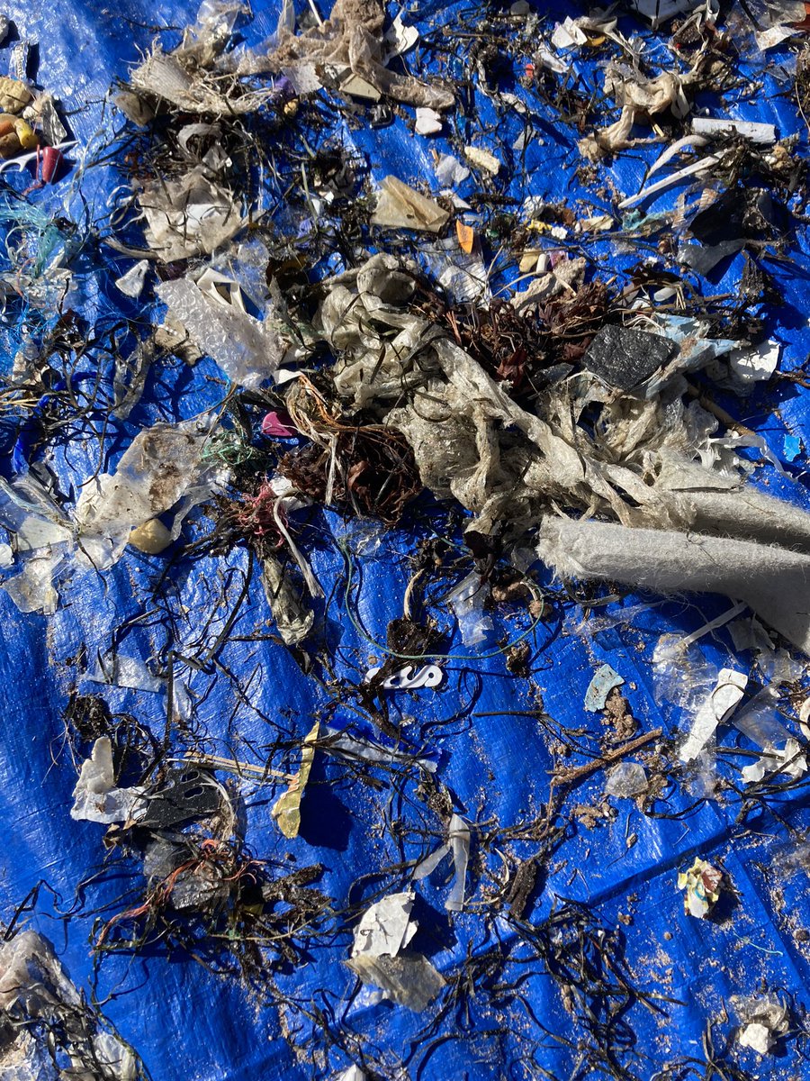 Syken meriroskatutkijat Outi Setälä ja Sanna Suikkanen kävivät vierailemassa Hankoniemellä. Oli mielenkiintoiset keskustelut ja roskiakin tutkittiin. Kiitos mukavasta vierailusta! <a href="/roskasakki/">Meriroskasakki</a> <a href="/SYKEinfo/">Suomen ympäristökeskus</a>