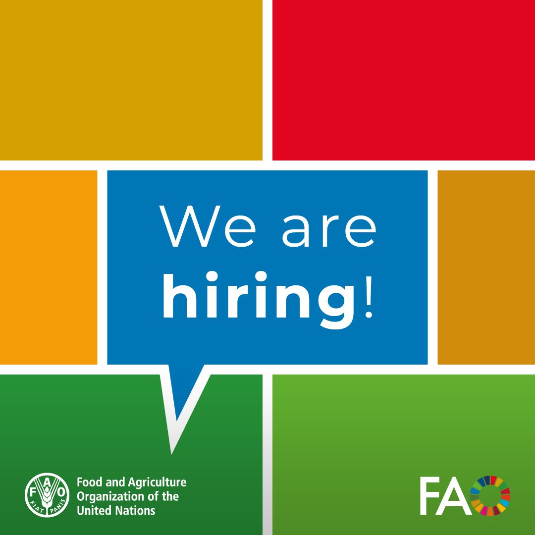 #JobOpportunities @FAO is seeking qualified & experienced candidates for the position of Deputy Director for the Office of Innovation (D1) based at our HQ in Rome. Deadline of application : April 15 👉bit.ly/3xn34zG #UNJobs