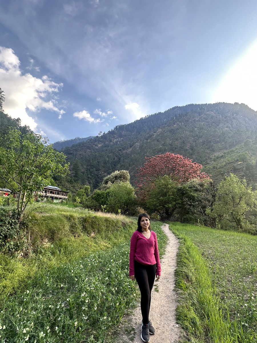 Palette cleanser 📍Tirthan Valley, Himachal Pradesh