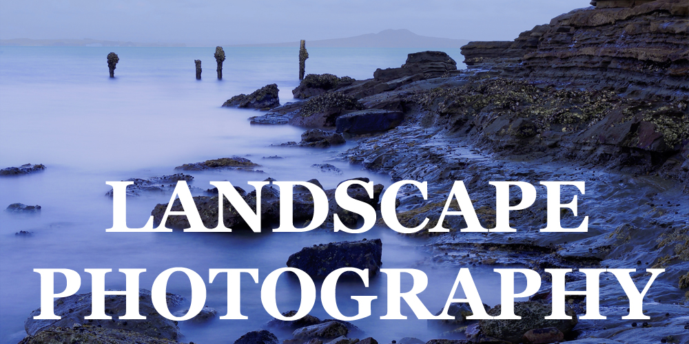 Kenneth83232172's tweet photo. NEW Slideshow featuring a select group of Fine Art Landscape Photography images from the Kenneth Lane Smith 2.0  Collection: https://t.co/Q1wAe9rSF9 

#BuyIntoArt #rtartboost #landscapephotography #artprints #wallart #artdecor https://t.co/RlUQe4nTLd