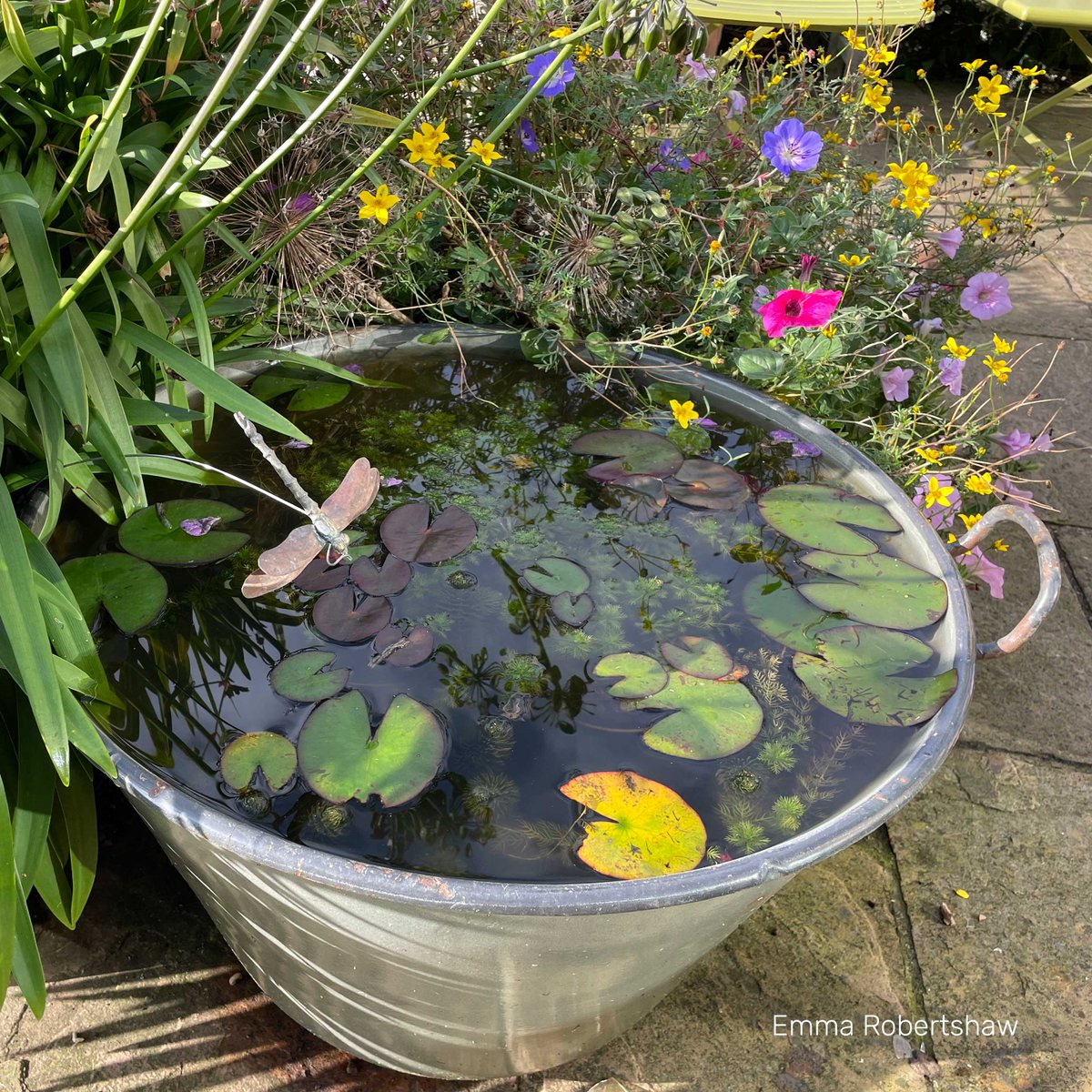 🐸 🐦 🌸 Join our one day course for expert wildlife advice on the simple ways to improve your patch for nature. Includes a visit to a local community space to see wildlife gardening in action. Friday 26 April 2024 at Nower Wood, Leatherhead ➡️ bit.ly/3Py19i6