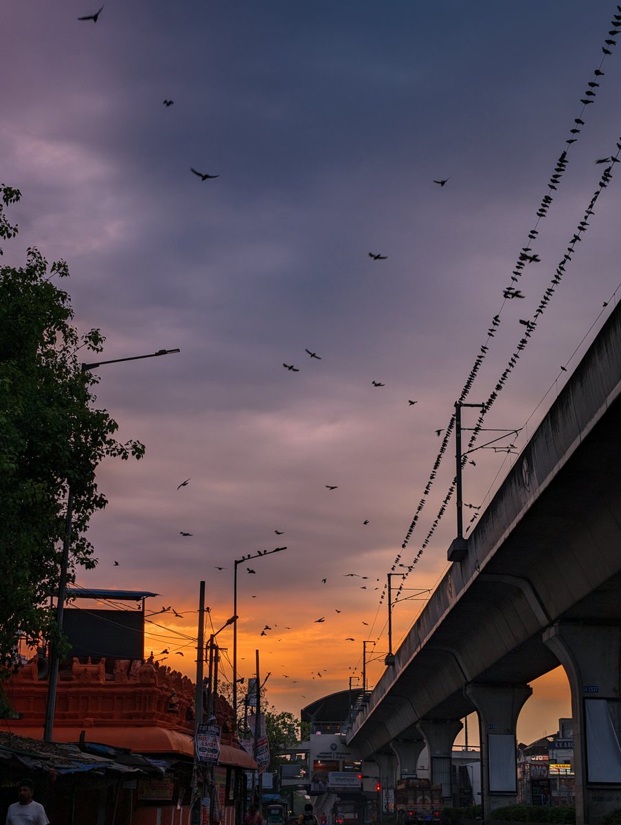 @ Dilsukhnagar 6:30 am
#Hyderabad #Pixel8pro