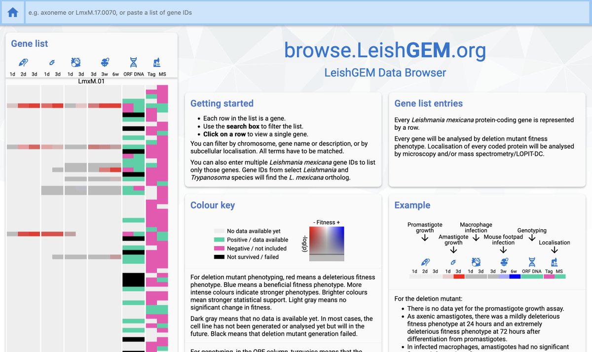 We've just updated browse.LeishGEM.org, giving it a huge facelift and many small and big usability improvements! You can now search for ortholog gene names from select Leishmania and Trypanosoma species!