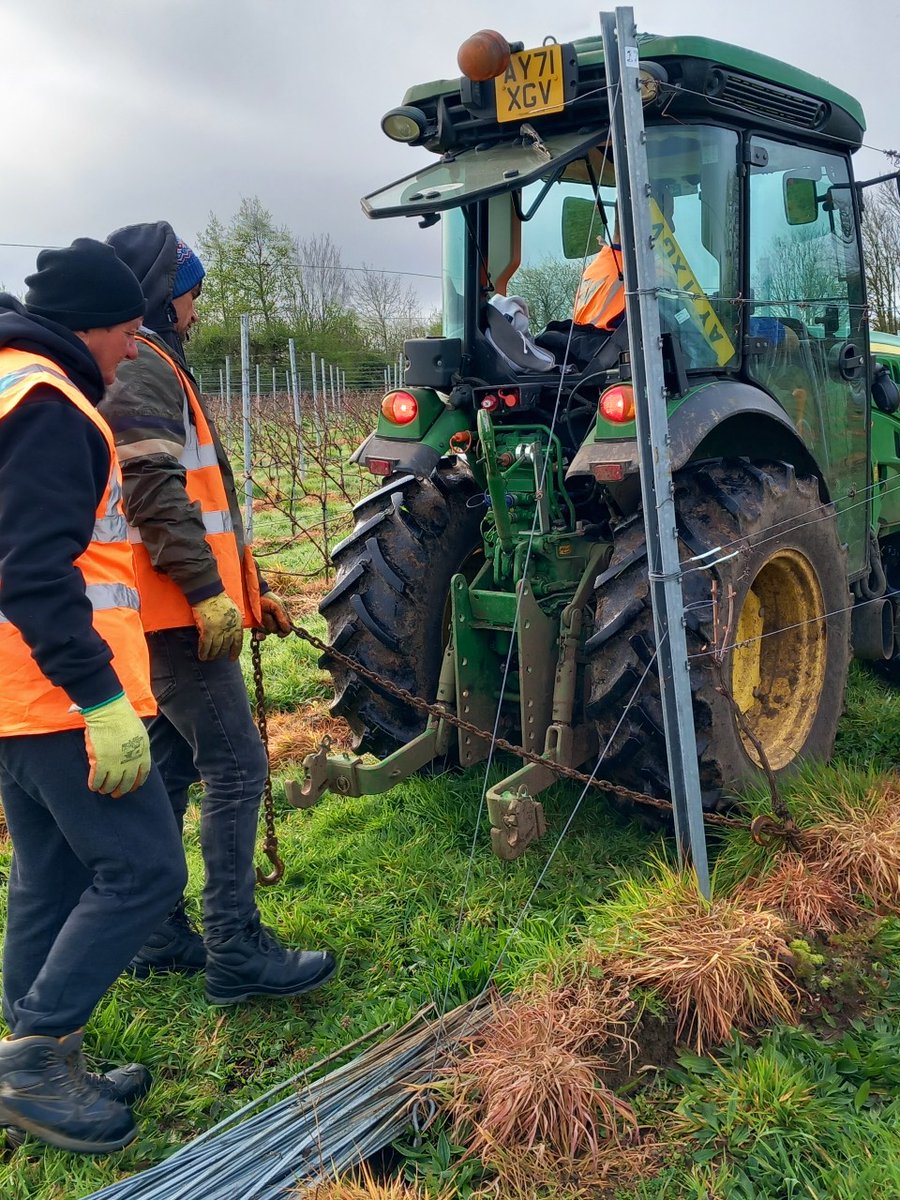 We’re busy replanting parts of the Research Vineyard at East Malling with Pinot noir & Chardonnay vines. Big thanks to VineWorks for all their hard work and providing the new vines and trellis system. For more on #NIAB’s viticulture and oenology work see ow.ly/4IiA50Rf2H1