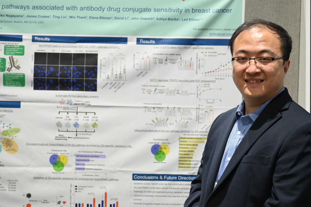 Ludwig @harvardmed's @bogang_wu presented at #AACR24 his research into the systematic identification of biochemical pathways associated with breast cancer cells' sensitivity to antibody-drug conjugates, a still-young but rapidly growing class of cancer therapies.