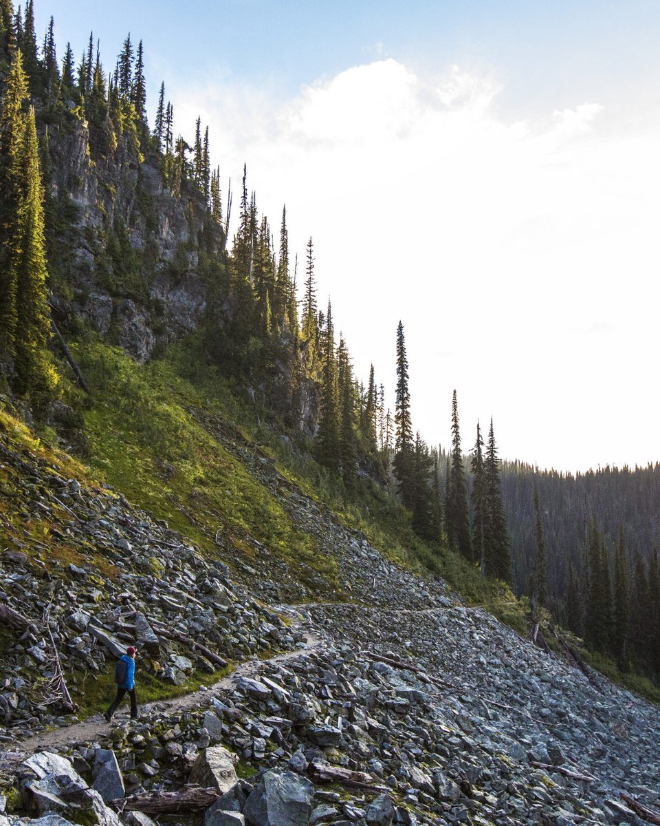 Just a short drive away, Mount Revelstoke National Park offers a diverse range of trails, from easy nature walks to more challenging hikes. The park's scenic beauty and accessibility make it a popular choice for hikers of all levels.

📷: Ryan Creary - Destination BC