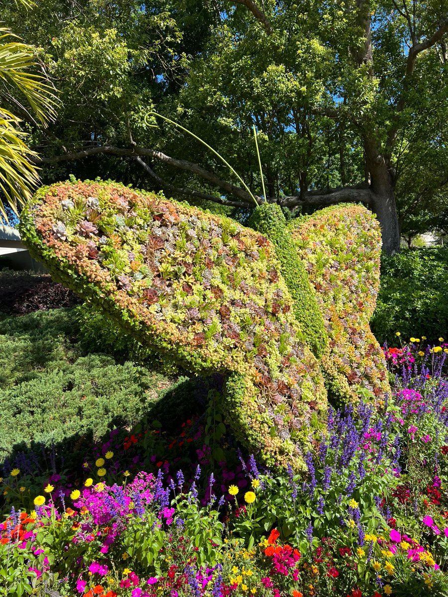 It’s a pretty day in EPCOT!🤩💚✨