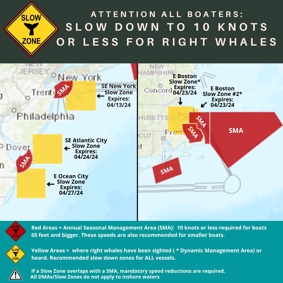 New #RightWhale #SlowZone E Ocean City, MD in effect through 4/27. Mariners are requested to avoid or transit at 10 kts or less. See map for locations of all Slow Zones. Sign up for alerts here: bit.ly/49AVAXG