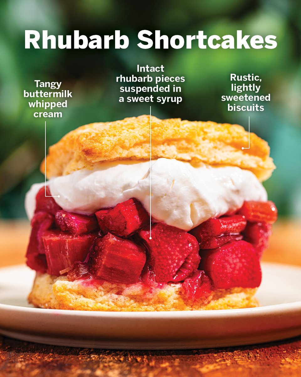 Celebrate Spring with rhubarb shortcakes! The tangy stalks take center stage in this alluringly sweet-tart dessert that is a unique and delicious take on the classic strawberry shortcake. Recipe: bit.ly/4cq6sd4
